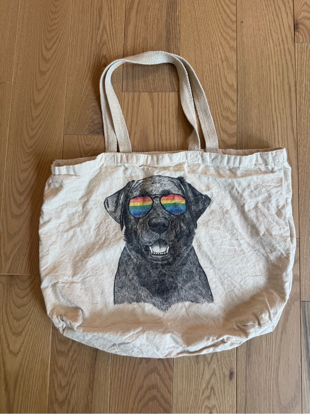 Canvas Dog Tote Bag with Rainbow Sunglasses Print - Natural